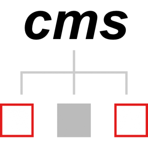 asesorias-it-cms-content-management-system